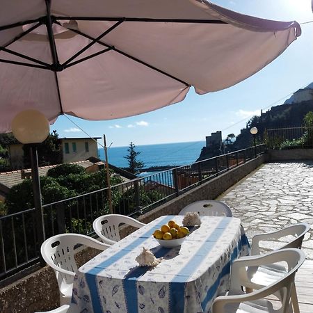 蒙特罗索阿尔马雷Casa Fulvia With Terrace公寓 外观 照片